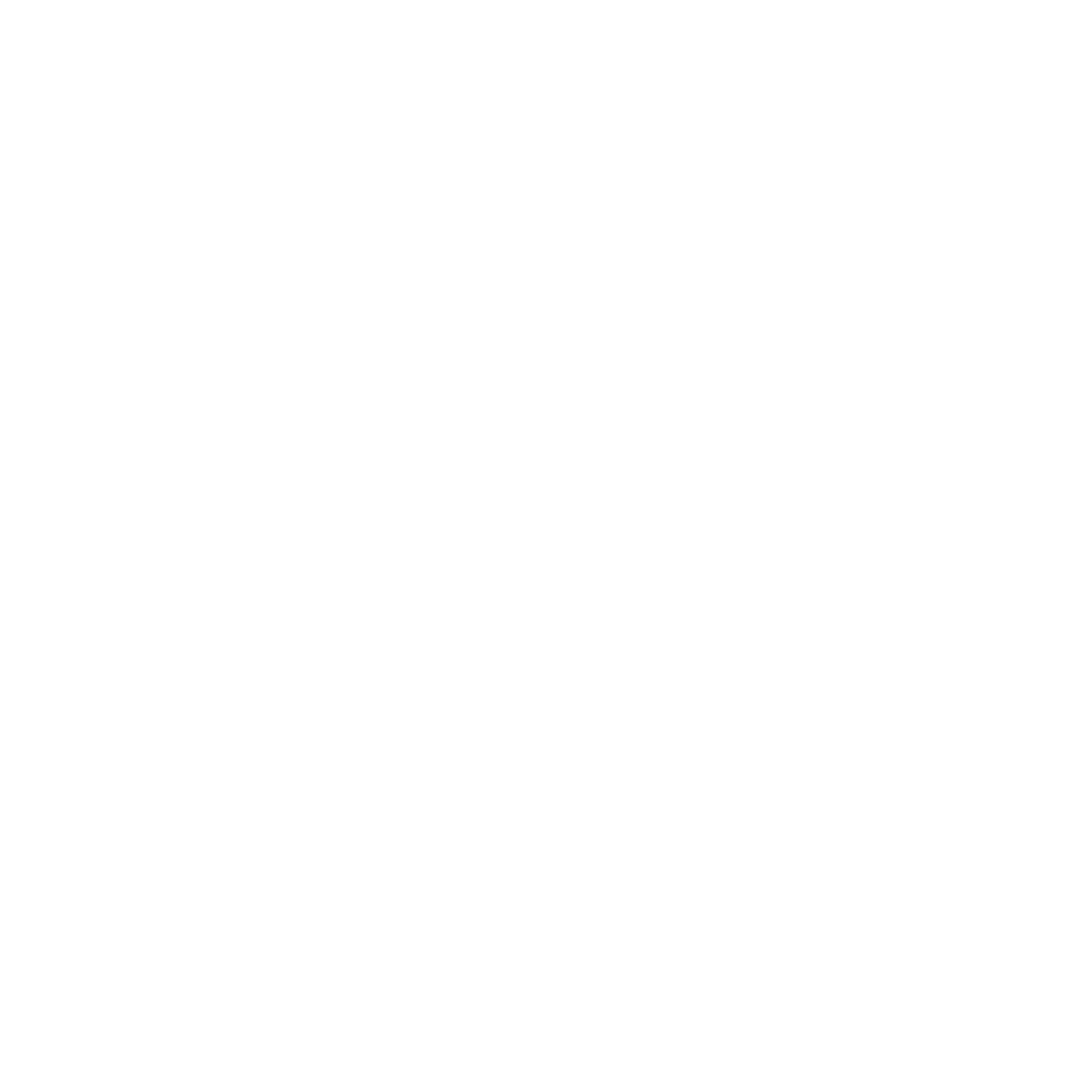 Skilletfire Studios